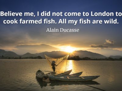 Alain Ducasse Quote Believe me, I did not come to London to cook farmed fish - all my fish are wild