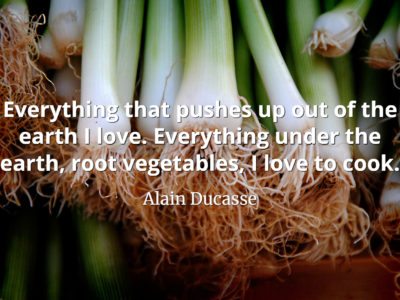 Alain Ducasse Quote Everything that pushes up out of the earth I love. Everything under the earth, root vegetables, I love to cook