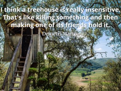 Demetri Martin Quote I think a treehouse is really insensitive. That's like killing something and then making one of its friends hold it