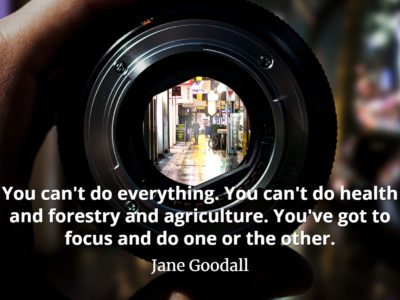 Jane Goodall Quote You can't do everything. You can't do health and forestry and agriculture. You've got to focus and do one or the other.