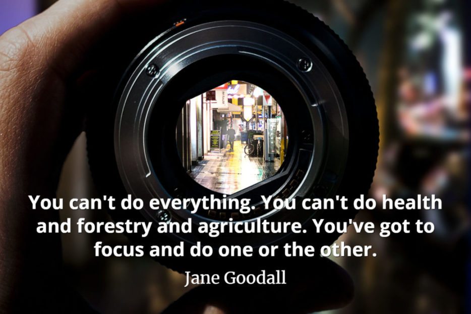 Jane Goodall Quote You can't do everything. You can't do health and forestry and agriculture. You've got to focus and do one or the other.