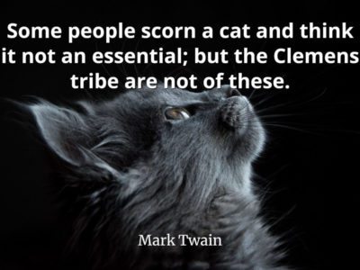 Mark Twain Quote Some people scorn a cat and think it not an essential; but the Clemens tribe are not of these
