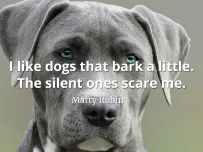 Marty Rubin Quote I like dogs that bark a little - the silent ones scare me
