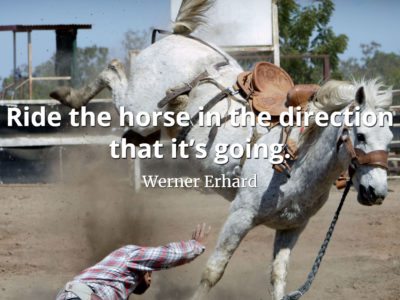 Werner Erhard Quote Ride the horse in the direction that it's going