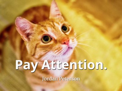 jordan-peterson-quote-Pay-attention