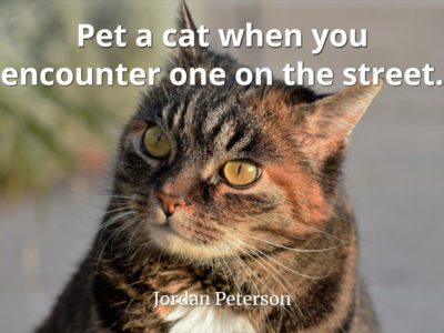 jordan-peterson-quote-Pet-a-cat-when-you-encounter-one-on-the-street