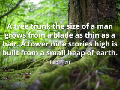 lao-tzu quote A tree trunk the size of a man grows from a blade as thin as a hair. A tower nine stories high is built from a small heap of earth