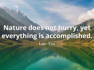 Nature does not hurry, yet everything is accomplished