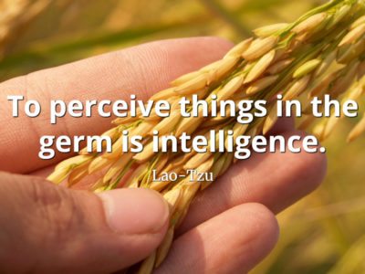 lao-tzu quote To perceive things in the germ is intelligence