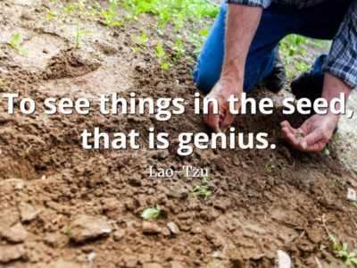 lao-tzu quote To see things in the seed, that is genius
