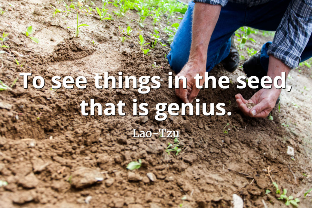 lao-tzu quote To see things in the seed, that is genius