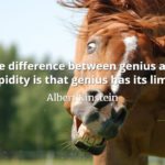 Albert Einstein quote The difference between genius and stupidity is that genius has its limits.