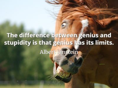 Albert Einstein quote The difference between genius and stupidity is that genius has its limits.