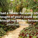 Alfred Lord Tennyson quote If I had a flower for every time I thought of you I could walk through my garden forever.