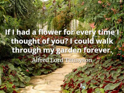 Alfred Lord Tennyson quote If I had a flower for every time I thought of you I could walk through my garden forever.