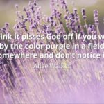 Alice Walker quote I think it pisses God off if you walk by the color purple in a field somewhere and don't notice it.
