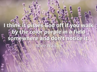 Alice Walker quote I think it pisses God off if you walk by the color purple in a field somewhere and don't notice it.