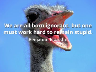 Benjamin Franklin quote We are all born ignorant, but one must work hard to remain stupid.