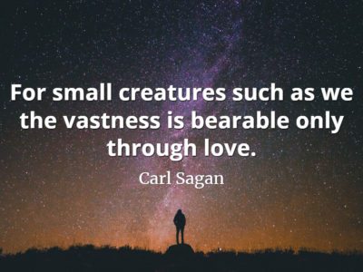 Carl Sagan quote For small creatures such as we the vastness is bearable only through love.