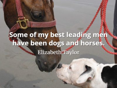 Elizabeth Taylor quote Some of my best leading men have been dogs and horses.