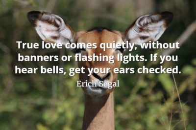 Erich Segal quote True love comes quietly, without banners or flashing lights. If you hear bells, get your ears checked.