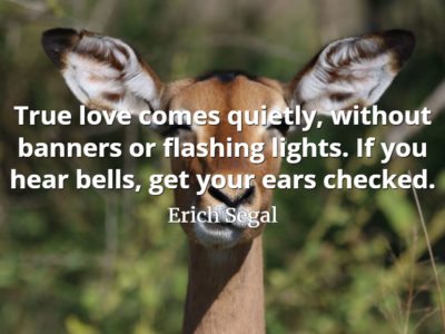 Erich Segal quote True love comes quietly, without banners or flashing lights. If you hear bells, get your ears checked.