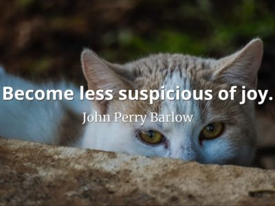 John Perry Barlow quote Become less suspicious of joy