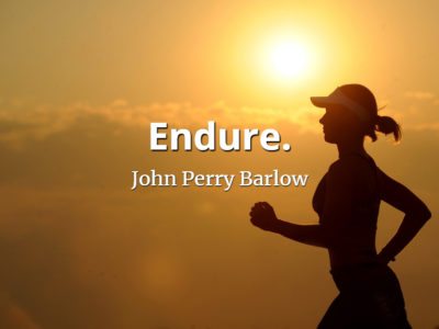 John Perry Barlow quote Endure
