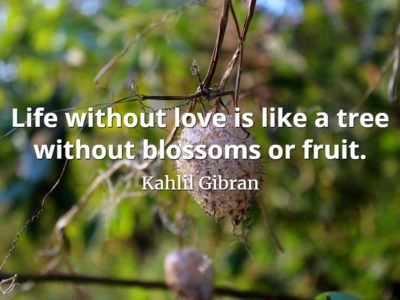 Kahlil Gibran quote Life without love is like a tree without blossoms or fruit.