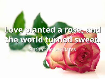 Katharine Lee Bates quote Love planted a rose, and the world turned sweet.