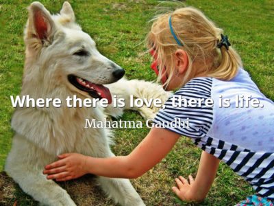 Mahatma Gandhi quote Where there is love, there is life.