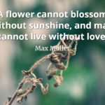 Max Muller quote A flower cannot blossom without sunshine, and man cannot live without love.