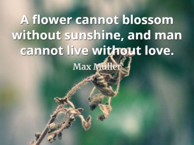 Max Muller quote A flower cannot blossom without sunshine, and man cannot live without love.