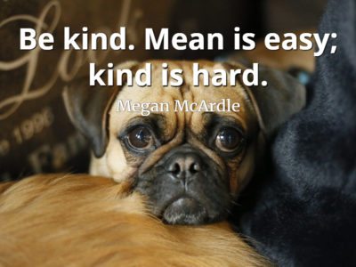 Megan McArdle quote Be kind. Mean is easy; kind is hard.