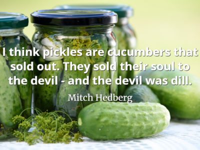 Mitch Hedberg quote I think pickles are cucumbers that sold out. They sold their soul to the devil - and the devil was dill