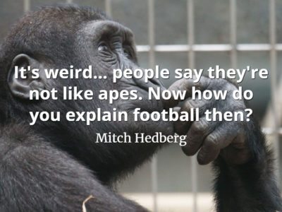 Mitch Hedberg quote It's weird... people say they're not like apes. Now how do you explain football then