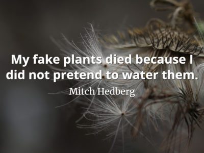 Mitch Hedberg quote My fake plants died because I did not pretend to water them