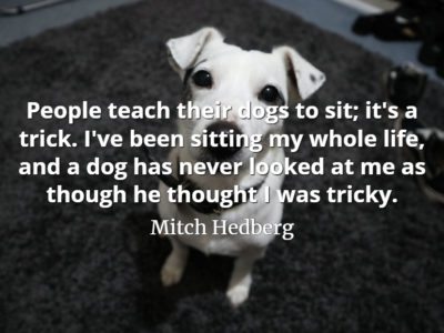 Mitch Hedberg quote People teach their dogs to sit; it's a trick. I've been sitting my whole life