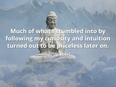 Steve Jobs QUote: Much of what I stumbled into by following my curiosity and intuition turned out to be priceless later on