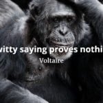 Voltaire quote A witty saying proves nothing.