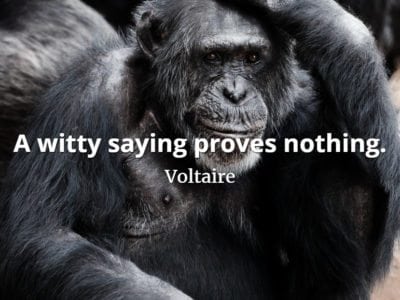 Voltaire quote A witty saying proves nothing.